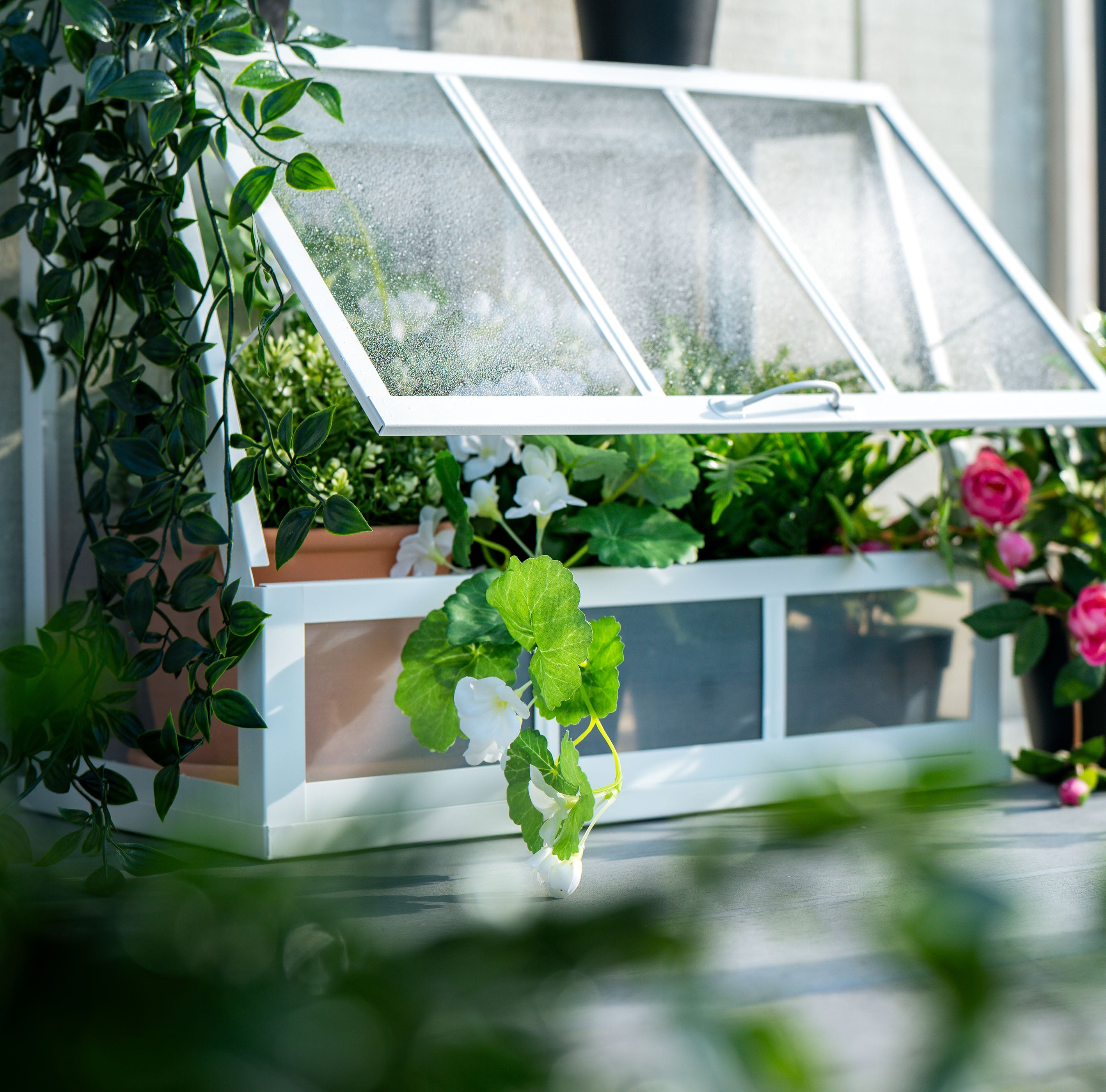 Ikea Akerbar Mini Greenhouse, 45cm (8552833483039)