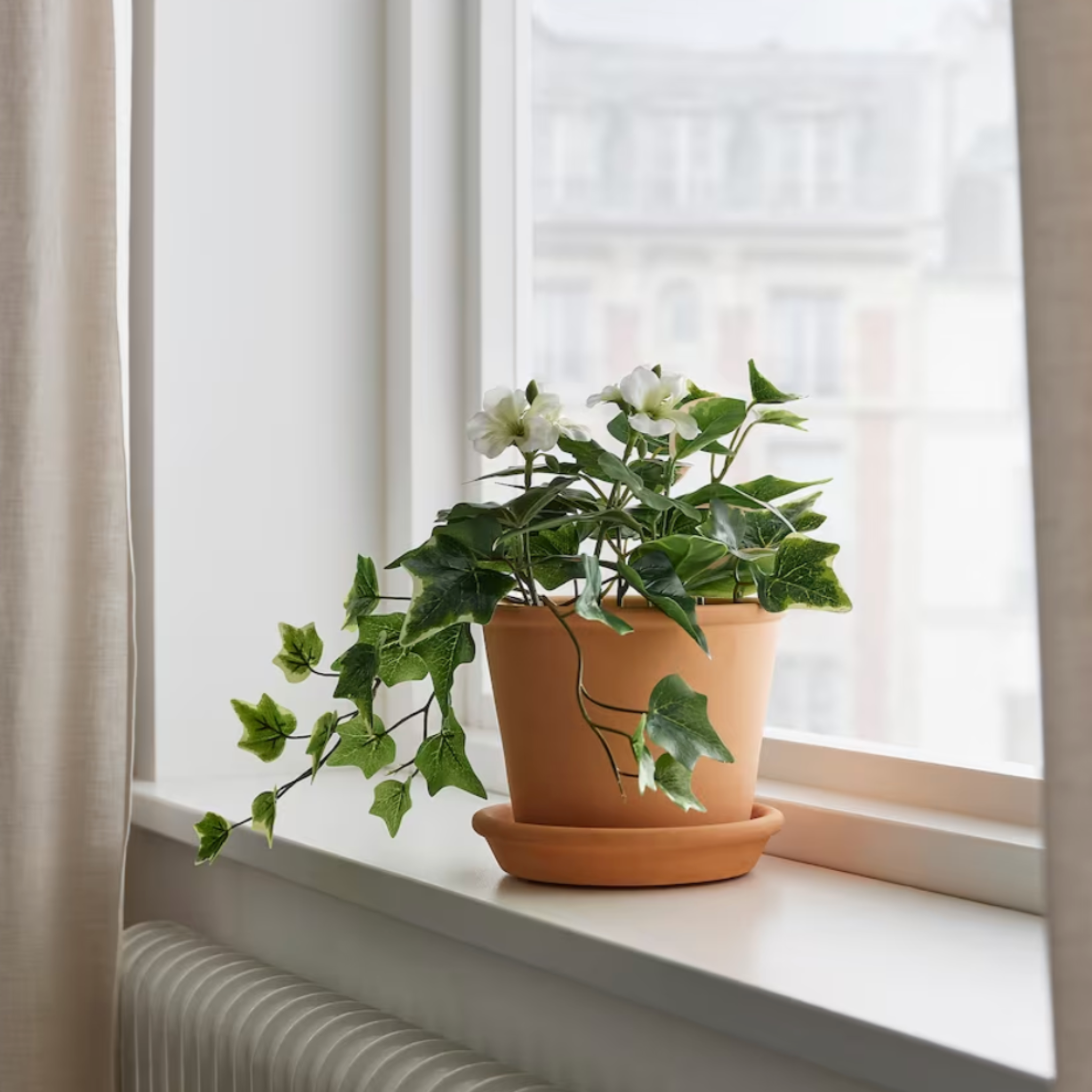 Ikea Fejka Artificial Plant, Pelargonia Ivy (8552764408095)