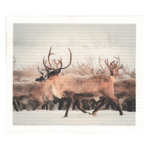 100% Biodegradable Dishcloth, Reindeer Herd (9442741616927)