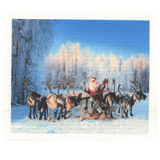 100% Biodegradable Dishcloth, Santa with Reindeer (9442742599967)
