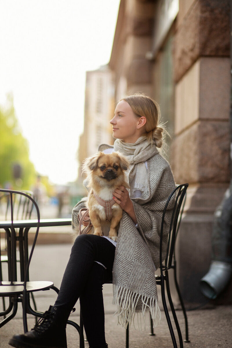 Maria Pocket Shawl 60x180cm, Grey-White (6807634149441)