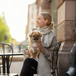 Maria Pocket Shawl 60x180cm, Grey-White (6807634149441)