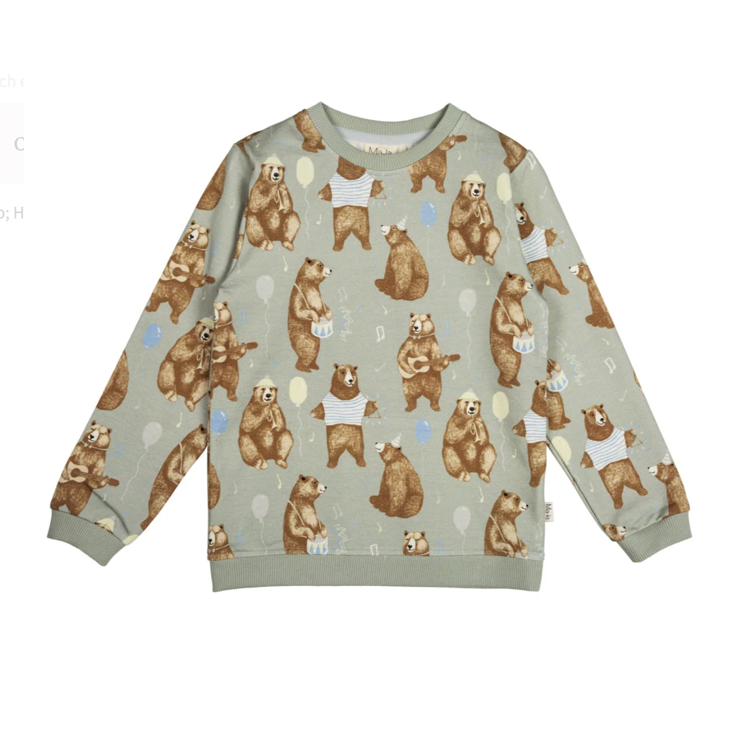 Bear Kids' Sweatshirt, Mint-Brown (10224815898911)