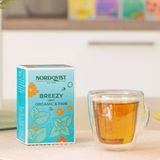 Breezy Organic Mint Tea 20-Pack