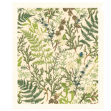 100% Biodegradable Dishcloth, Forest Green