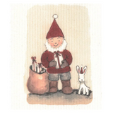 100% Biodegradable Dishcloth, Elf with Gifts (9442734801183)