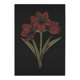 Kapamaryllis Tea Towel 48x70cm