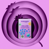 Mellow Organic Rooibos & Bilberry Tea 20-Pack