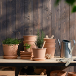 Ikea Muskotblomma Clay Pot with Plate, 12cm (8559111045407)