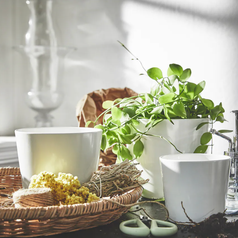 Ikea Sojaböna Plant Pot, 9cm (9161109569823)