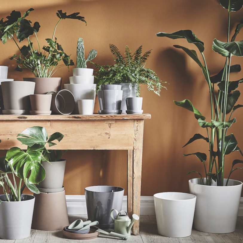 Ikea Sojaböna Plant Pot, 9cm (9161109569823)