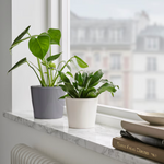 Ikea Sojaböna Plant Pot, 9cm (9161109569823)