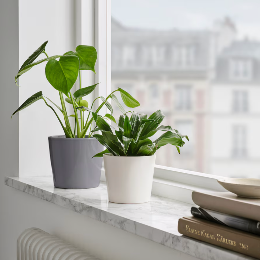 Ikea Sojaböna Plant Pot, 9cm (9161109569823)