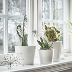 Ikea Sojaböna Plant Pot, 12cm (9161121431839)