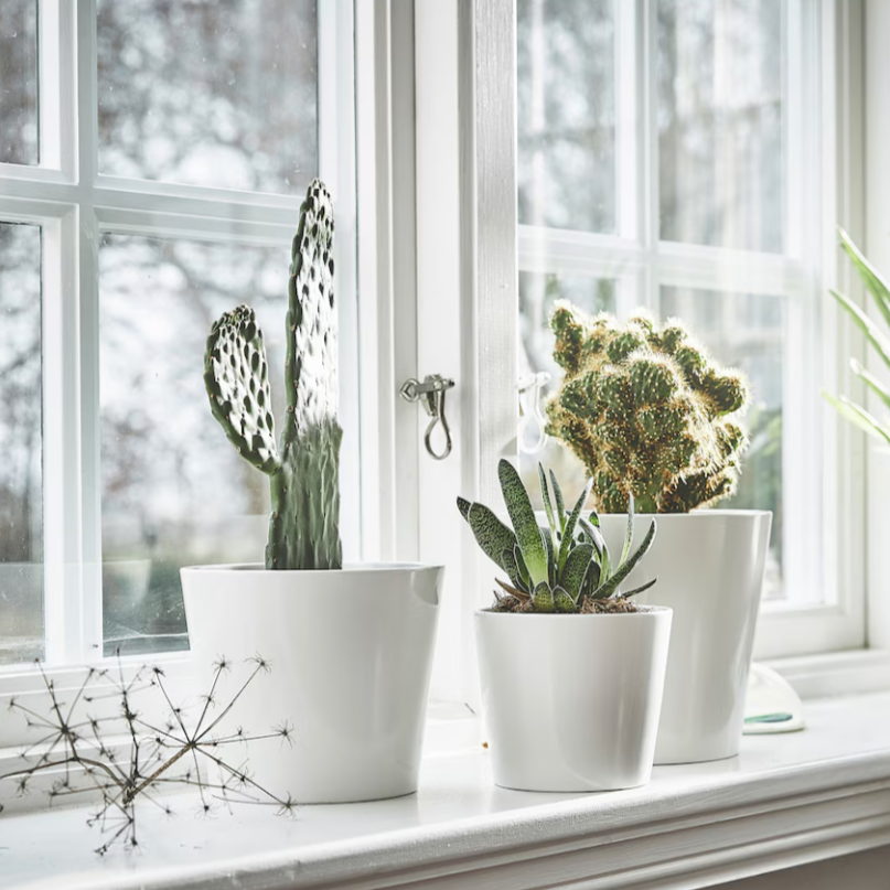 Ikea Sojaböna Plant Pot, 12cm (9161121431839)