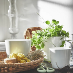 Ikea Sojaböna Plant Pot, 12cm (9161121431839)