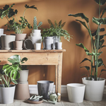Ikea Sojaböna Plant Pot, 12cm (9161121431839)