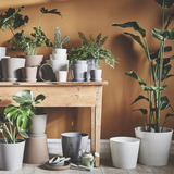 Ikea Sojaböna Plant Pot, 12cm (9161121431839)
