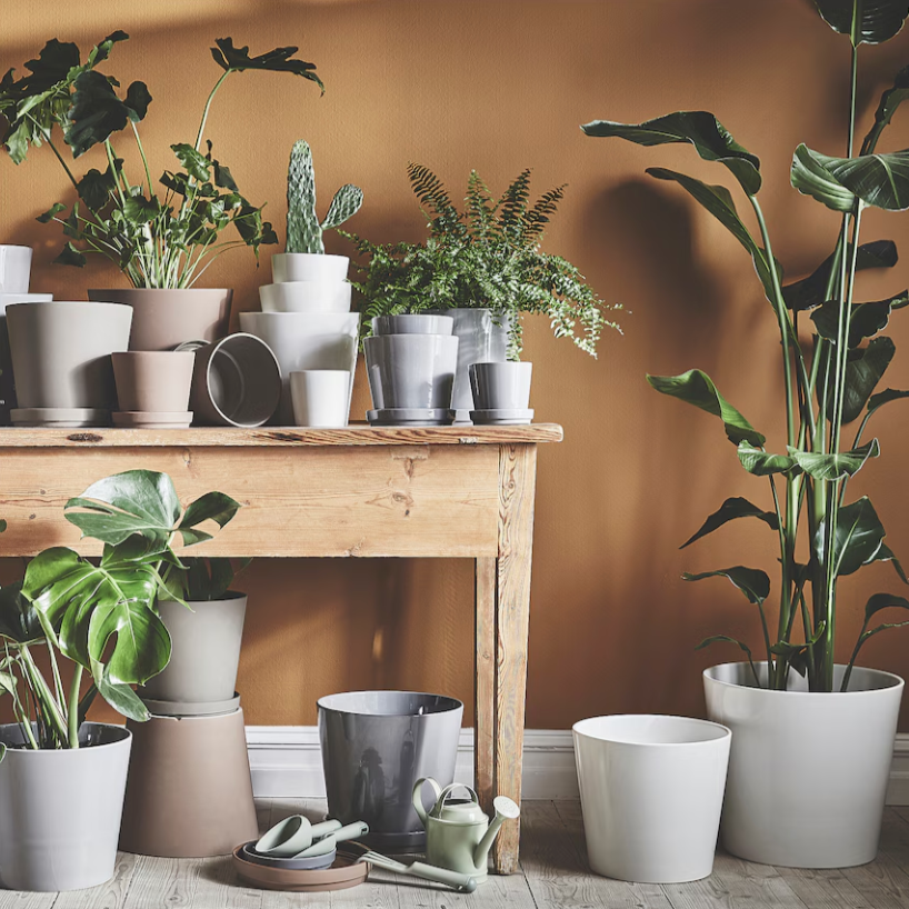 Ikea Sojaböna Plant Pot, 12cm (9161121431839)