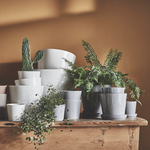 Ikea Sojaböna Plant Pot, 12cm (9161121431839)
