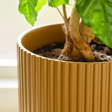 Ikea Daksjus Pots, Yellow/Earth (9467457929503)