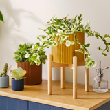 Ikea Daksjus Pots, Yellow/Earth (9467457929503)