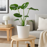 Ikea Sojaböna Plant Pot, 12cm (9161121431839)