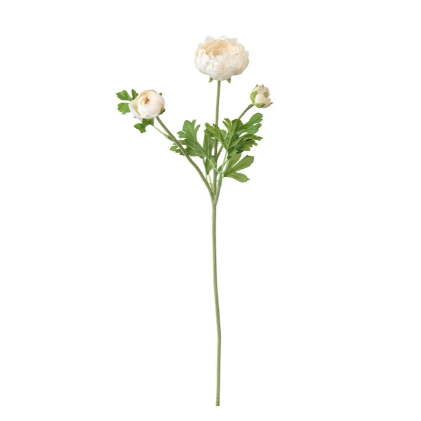 Ikea Smycka Artificial Flower, Ranunculus White (6655839174721)