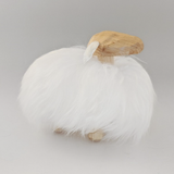 Toy Sheep Mini