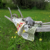 Arvet Baby (The Legacy) 100% Wool Baby Blanket, Original