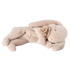 Maileg Bunny Plush Sleeping Small, Powder PRE-ORDER (10026201317663)
