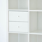 IKEA Kallax Insert with 2 Drawers, White (703076036)