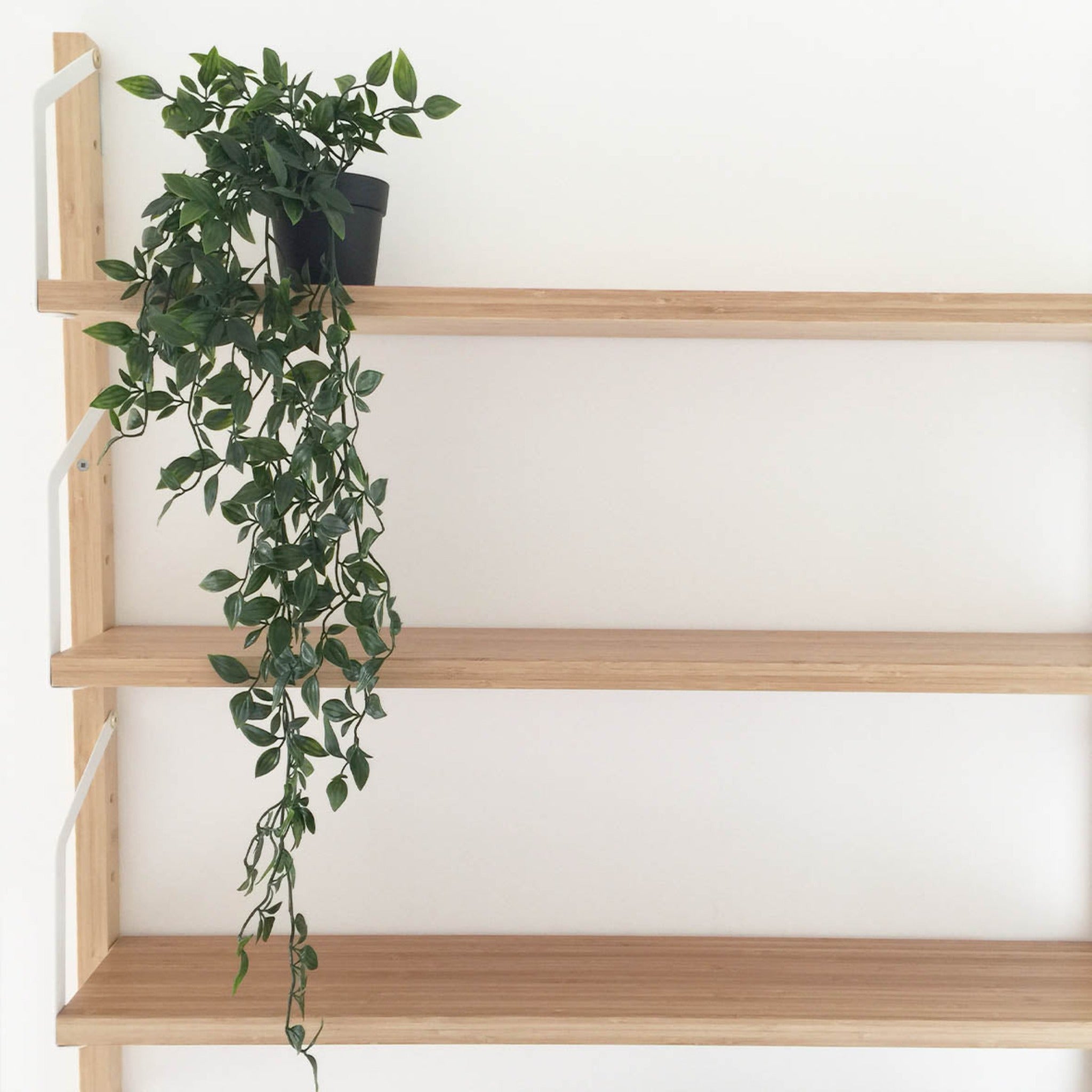 IKEA  Fejka Artificial Plant, Hanging Ivy (4464654024769)