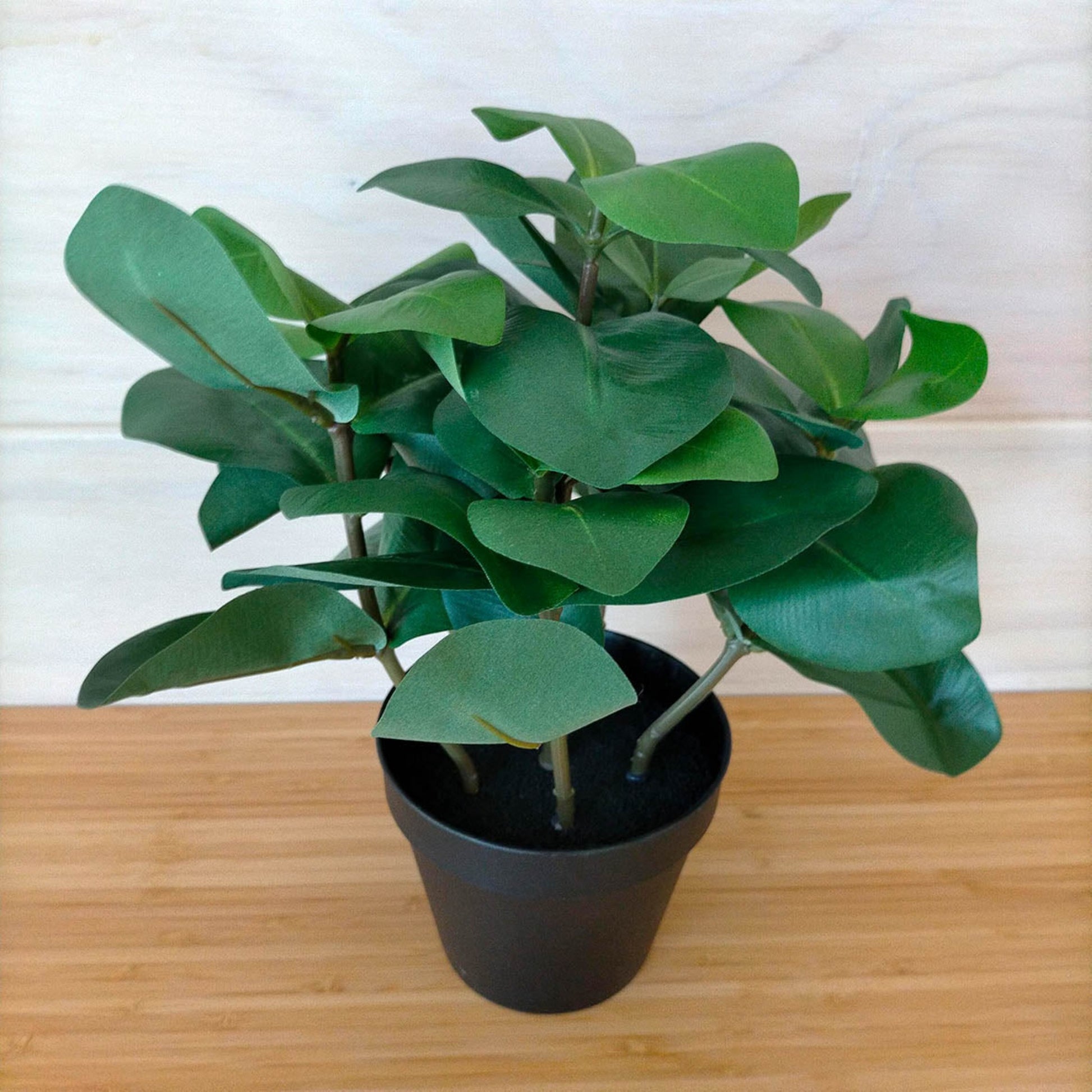 IKEA Fejka Artificial Plant, Ficus (6589409329217)