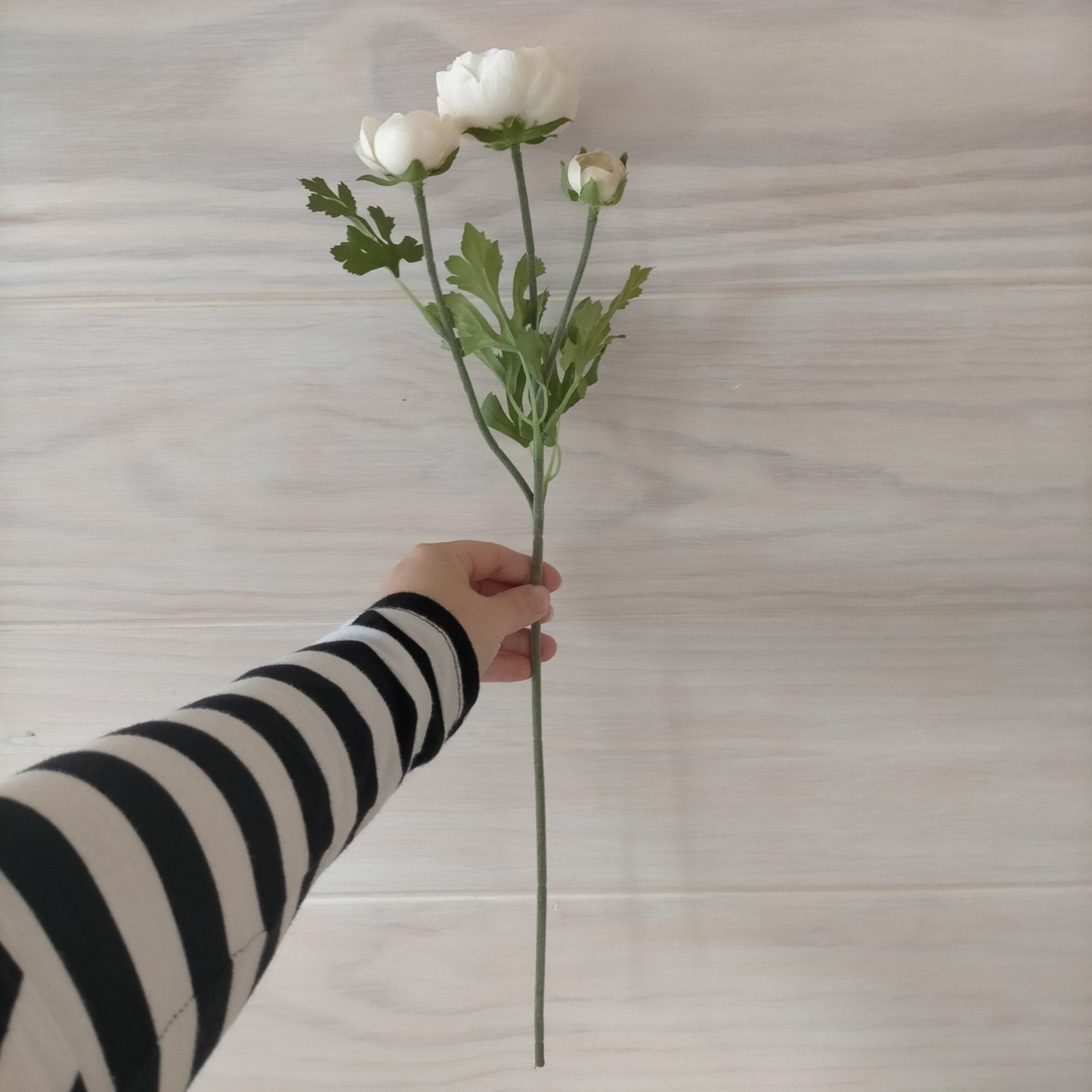 IKEA Smycka Artificial Flower, Ranunculus White (6655839174721)