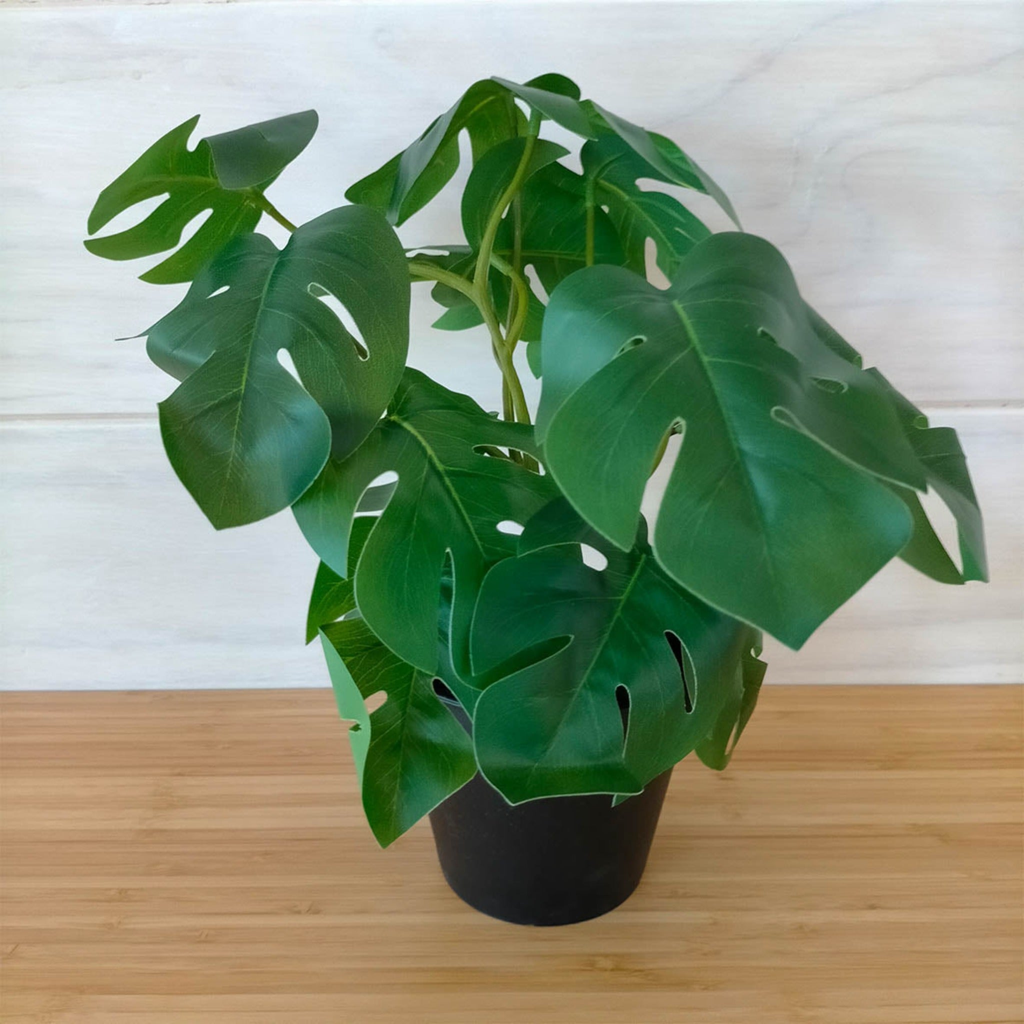 IKEA Fejka Artificial Plant, Monstera (6589430792257)