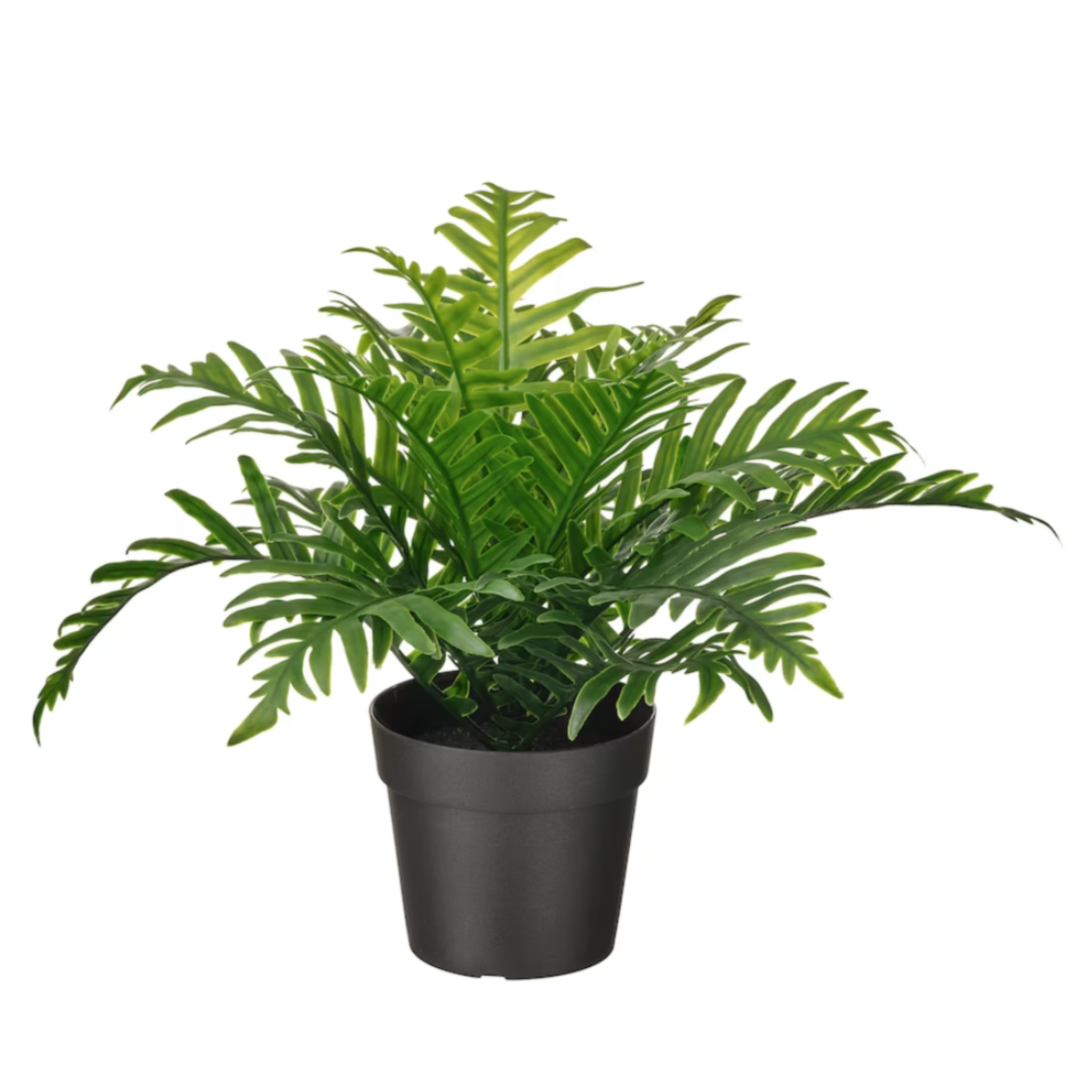 IKEA Fejka Artificial Plant, Whitley Giant 9cm (6760144076865)