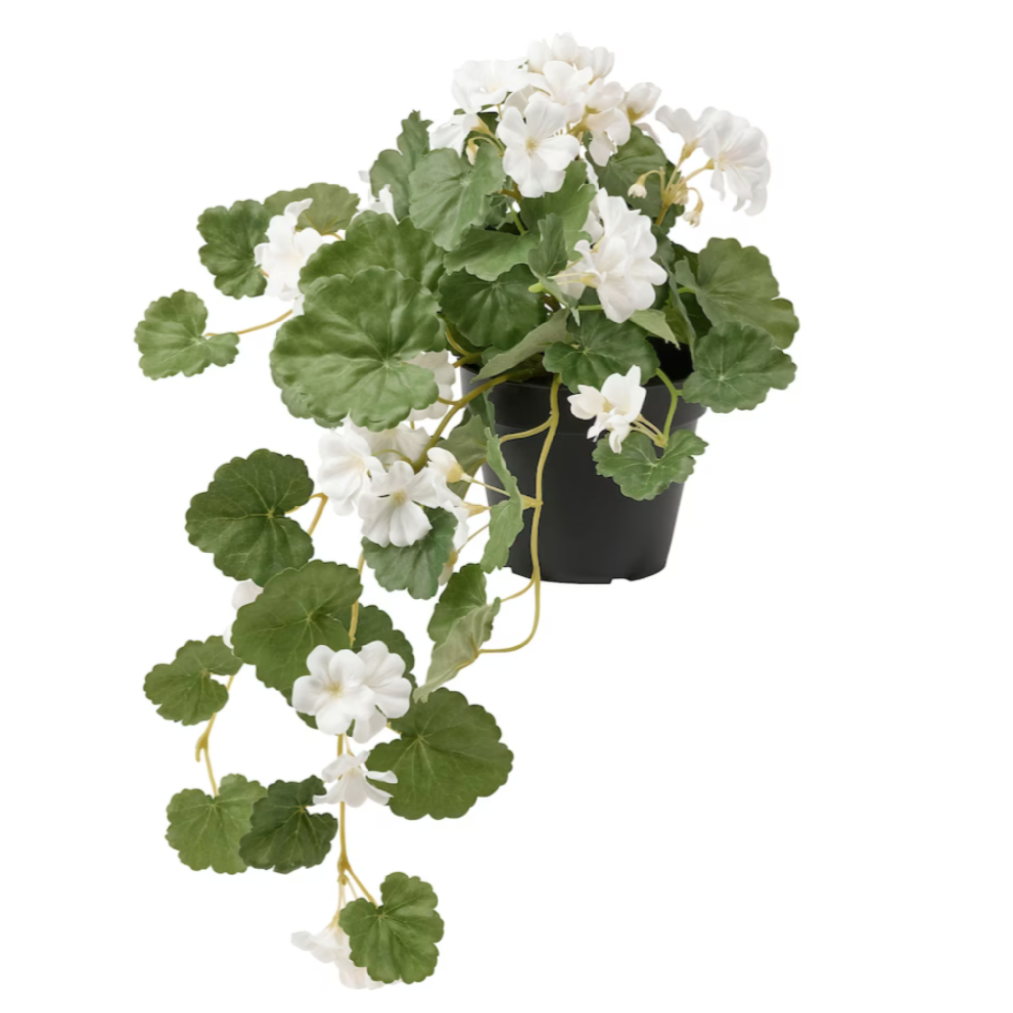 IKEA Fejka Artificial Plant, Hanging Pelargonia (6790548160577)