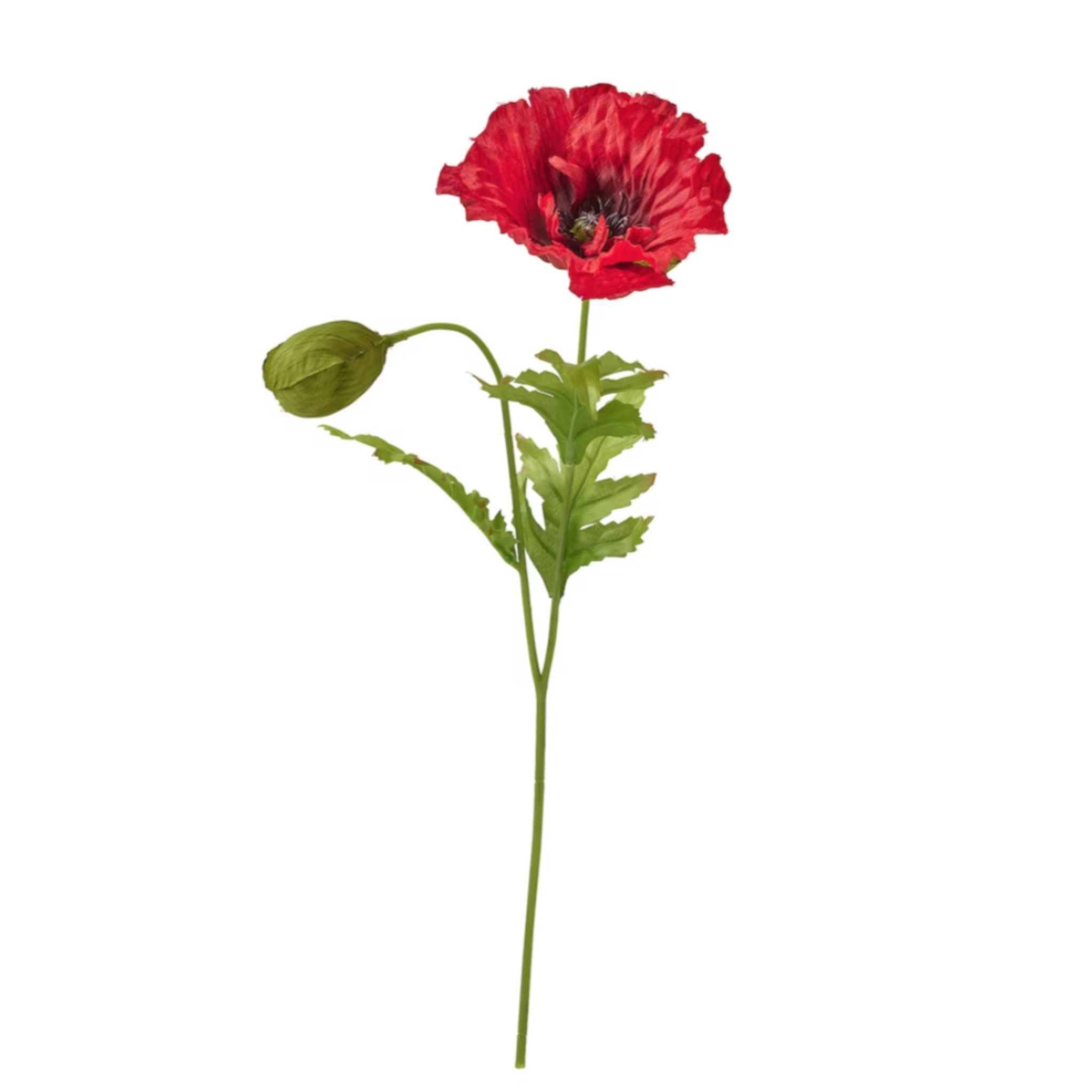 Ikea Anledning Artificial Poppy (7981910262047)