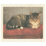 100% Biodegradable Dishcloth, Ateneum Cat (6885487673409)
