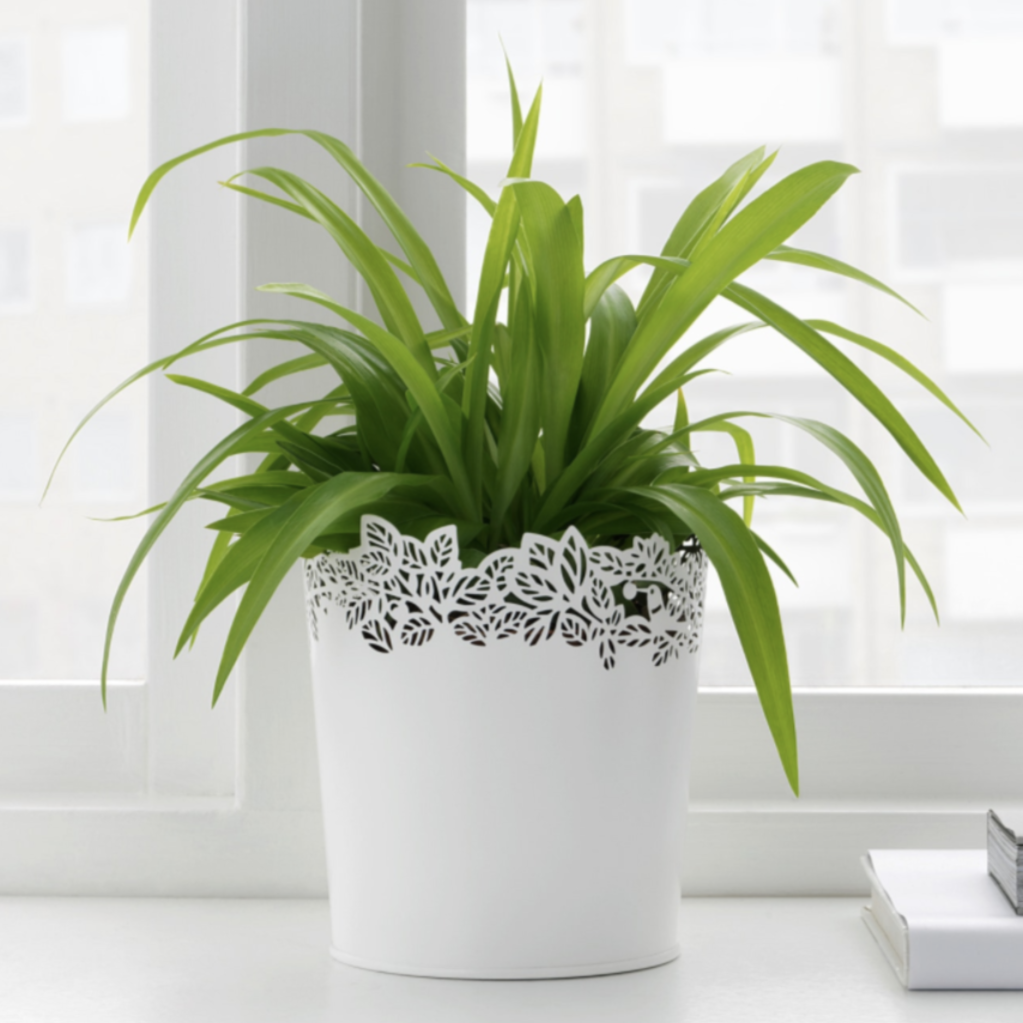 IKEA Samverka Plant Pot 9cm (4308407582785)
