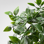 IKEA  Fejka Artificial Plant, Hanging Ivy (4464654024769)