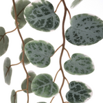 IKEA Fejka Artificial Plant, Hanging Eucalyptus (4633839894593)