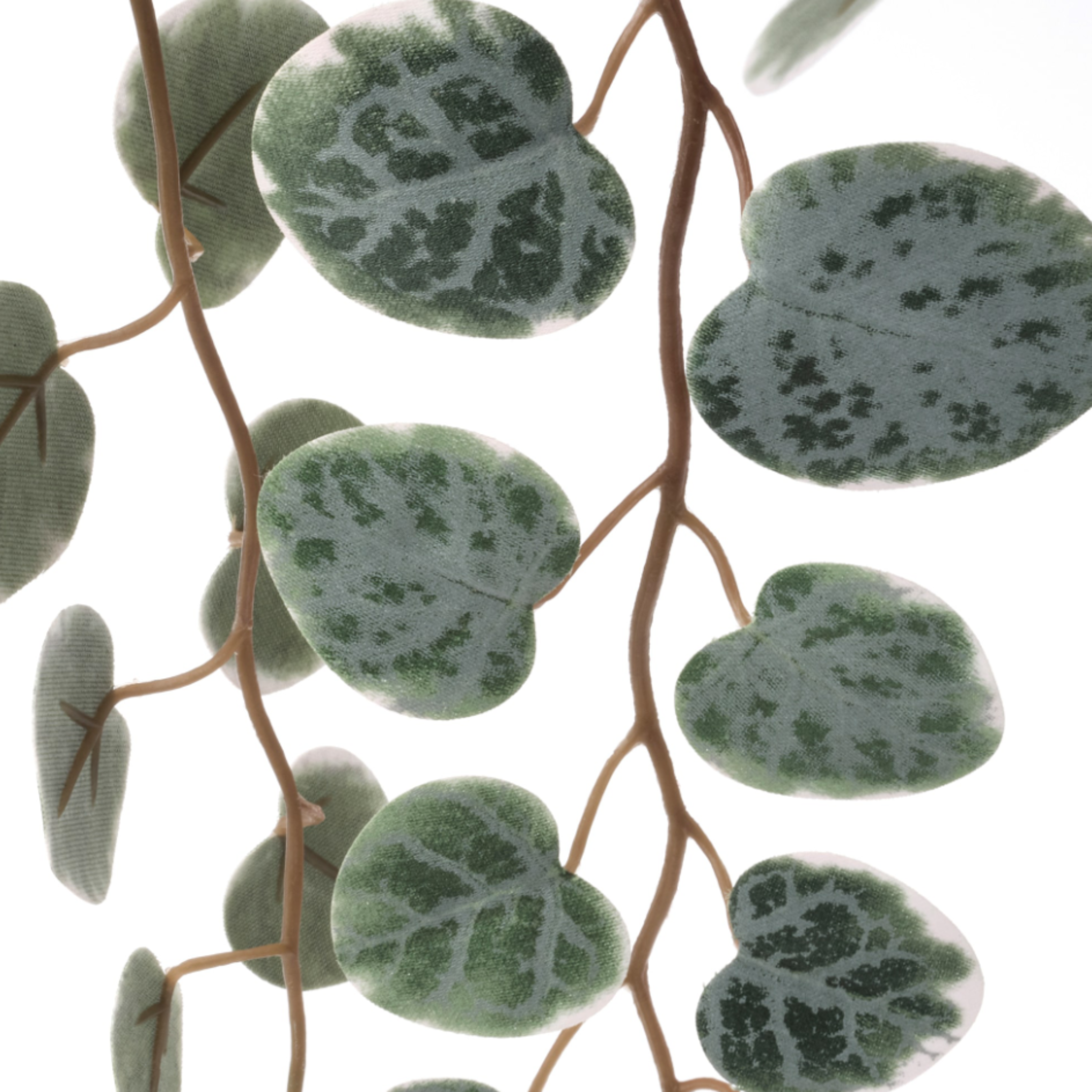 IKEA Fejka Artificial Plant, Hanging Eucalyptus (4633839894593)