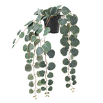 IKEA Fejka Artificial Plant, Hanging Eucalyptus (4633839894593)