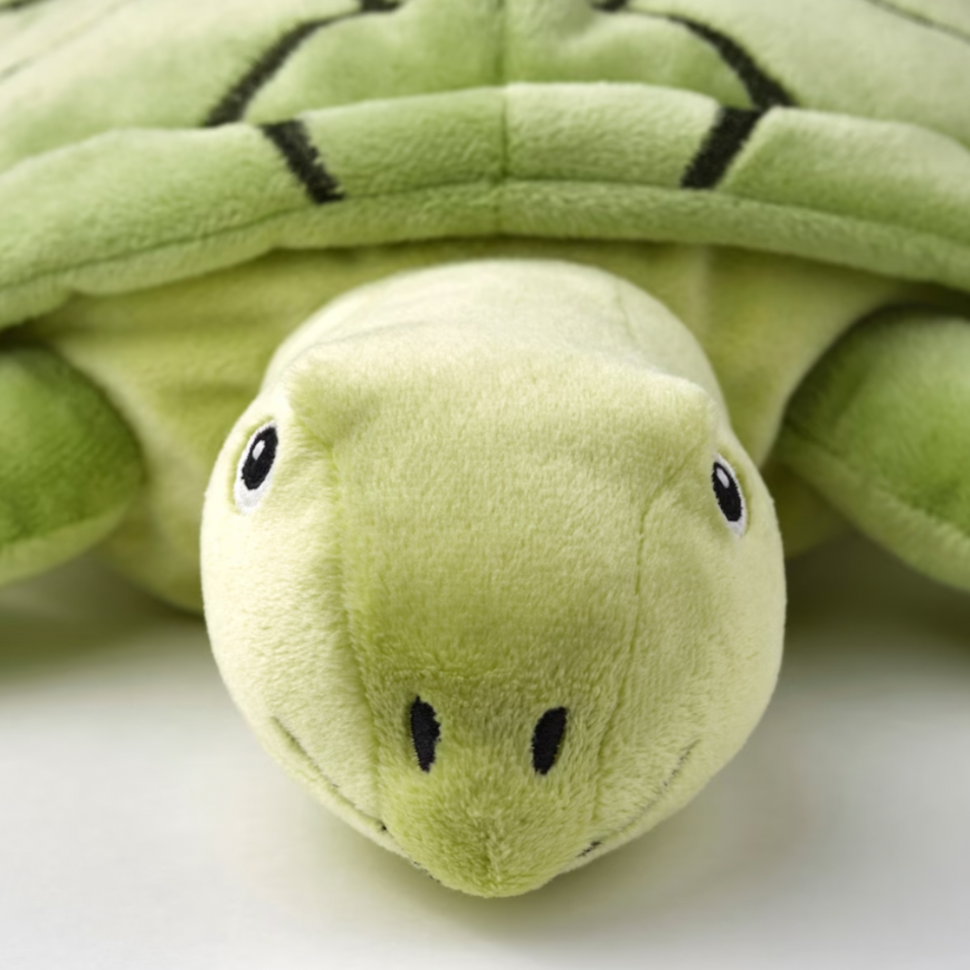Turtle soft discount toy