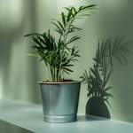 IKEA Bintje Pot 9cm (4464661004353)