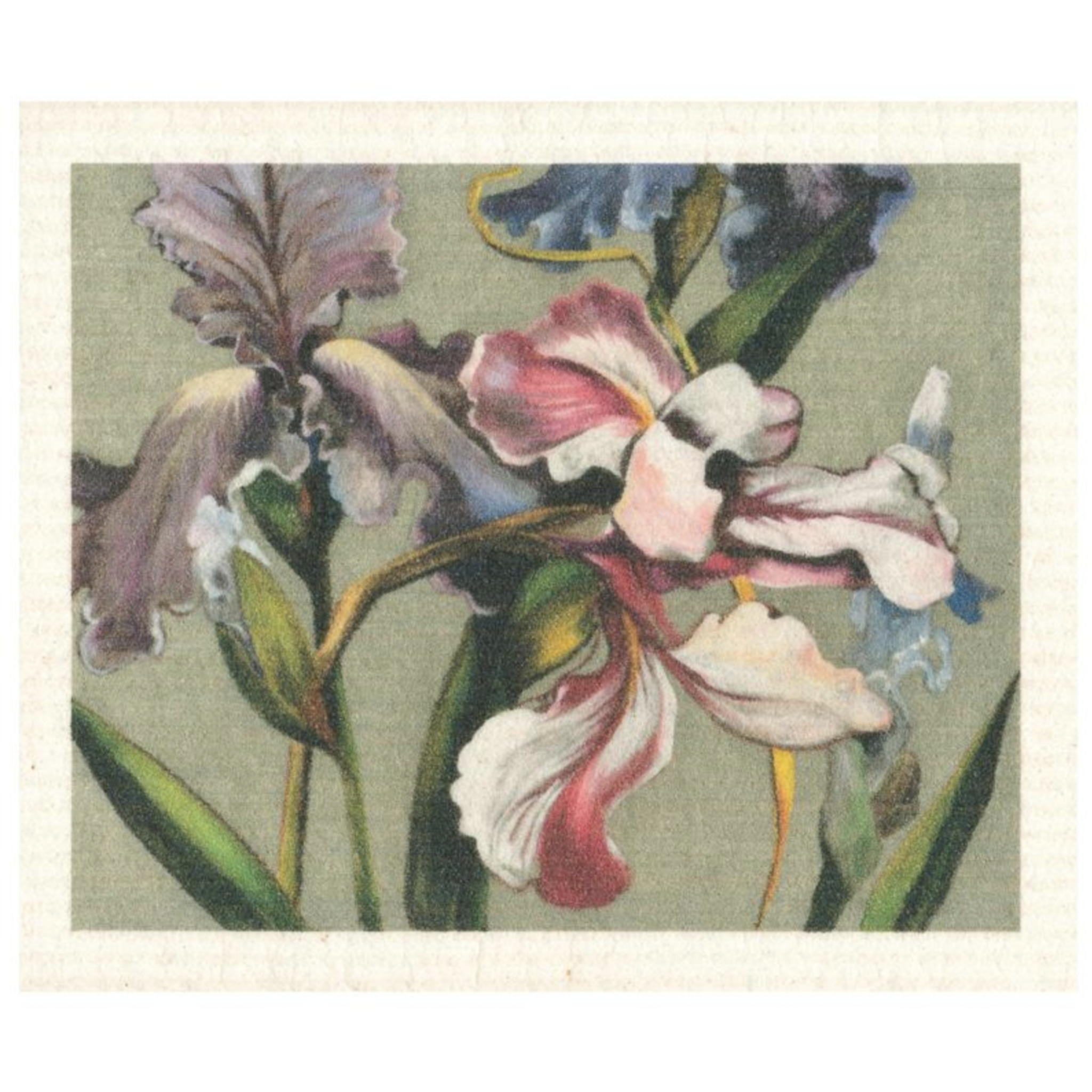 100% Biodegradable Dishcloth, Garden of Love (8143334998303)