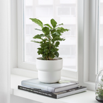 IKEA Forenlig Pot, White (6747510308929)