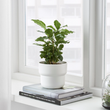 IKEA Forenlig Pot, White (6747510308929)